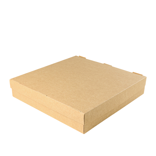 Упаковка для суши  250*250*50 1РЕ Упаковка для суши  250*250*50 1РЕ