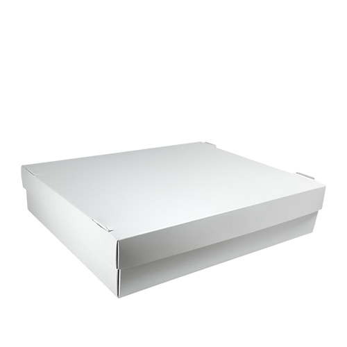 Упаковка для суши БЕЛАЯ 250*200*55 1РЕ Упаковка для суши БЕЛАЯ 250*200*55 1РЕ